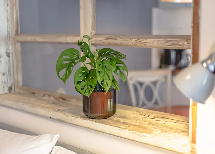 Mieszkanie W Centrum 아파트